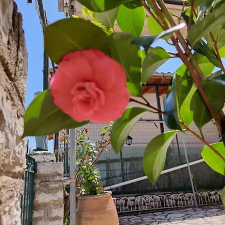 αρτέμιδα 卡尔派尼西翁