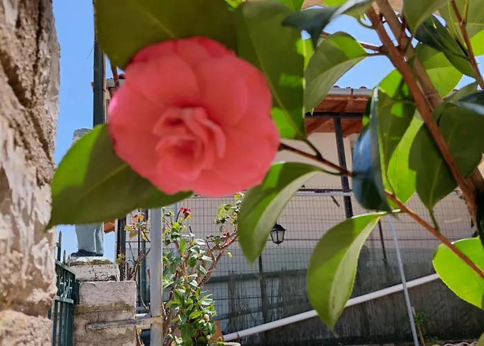 αρτέμιδα Karpenísion